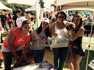 Dog Fest - Itatiba - SP (1)