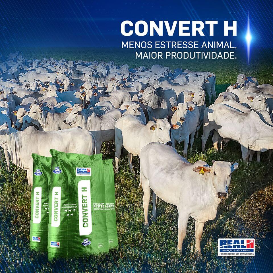Convert H