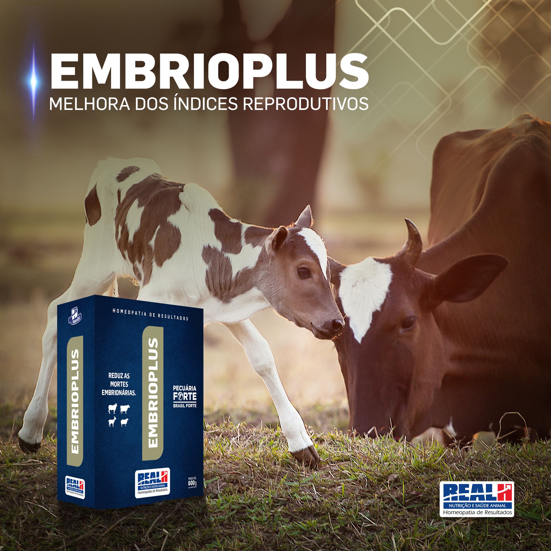 Embrioplus Real H