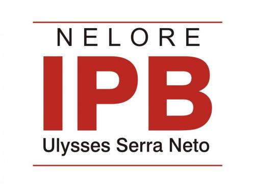 Nelore IPB Ulysses Serra Neto